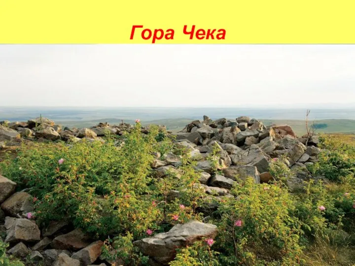 Гора Чека