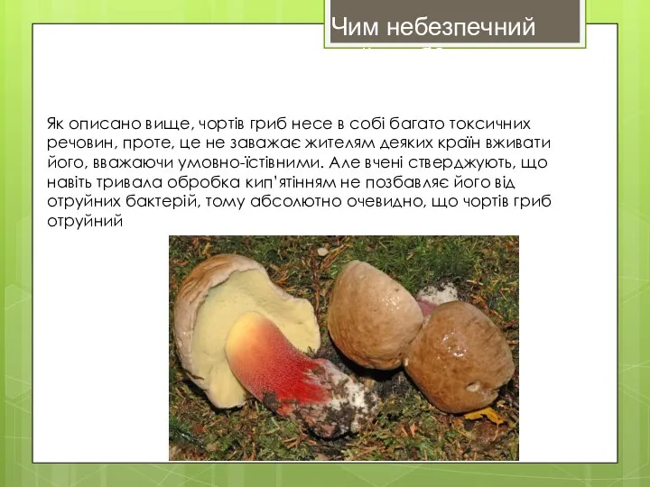 Як описано вище, чортів гриб несе в собі багато токсичних речовин, проте,