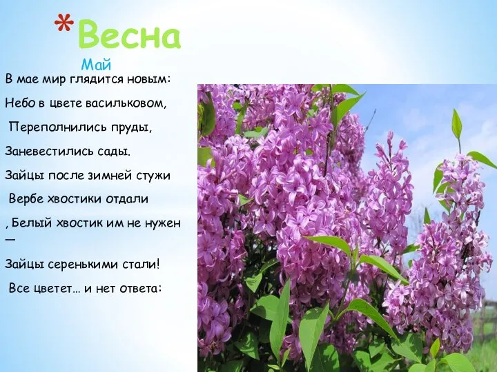 Май Весна В мае мир глядится новым: Небо в цвете васильковом, Переполнились