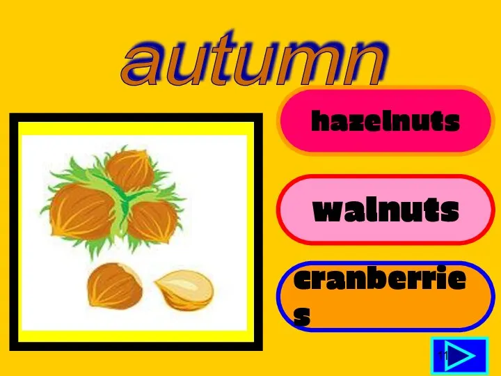 hazelnuts walnuts cranberries 11 autumn