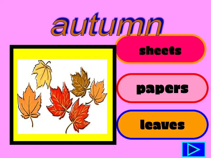 sheets papers leaves 14 autumn