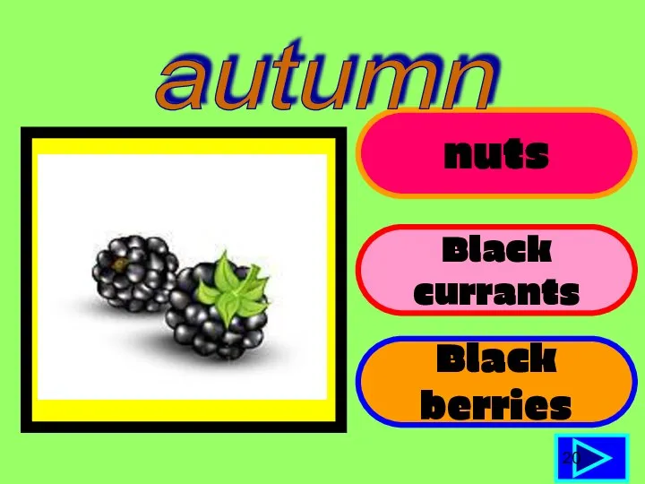 nuts Black currants Black berries 20 autumn