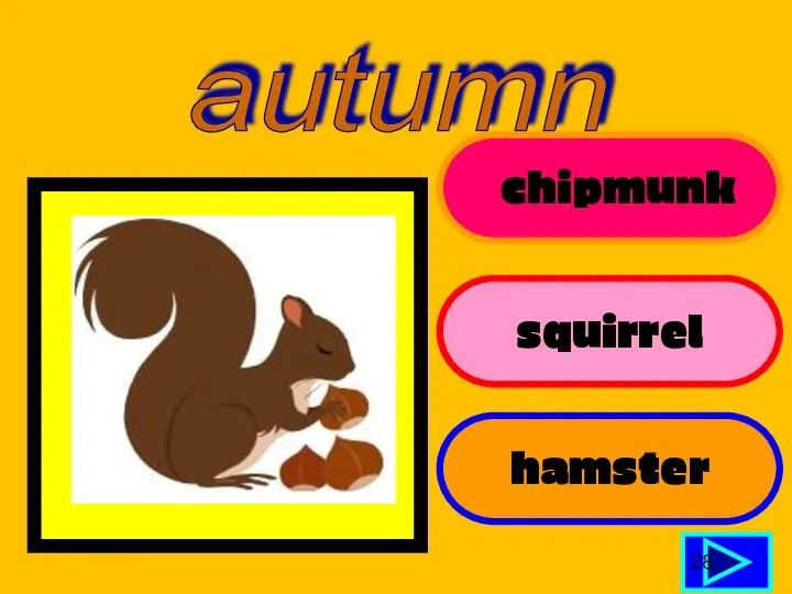 chipmunk squirrel hamster 28 autumn