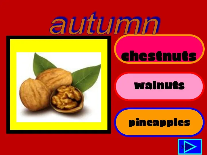 chestnuts walnuts pineapples 30 autumn