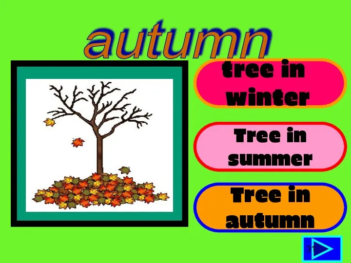 tree in winter Tree in summer Tree in autumn 31 autumn