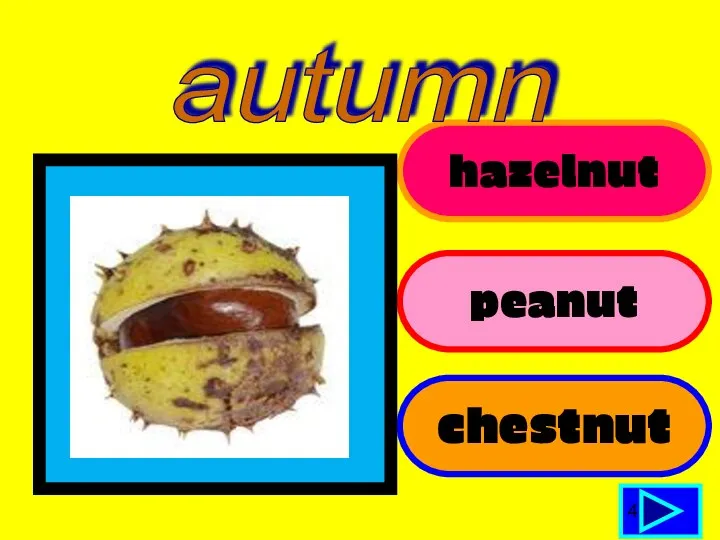 hazelnut peanut chestnut 4 autumn