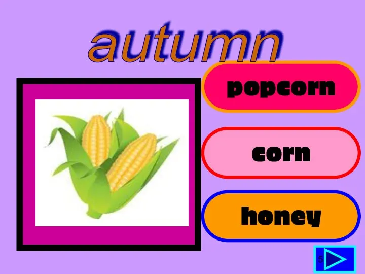 popcorn corn honey 5 autumn