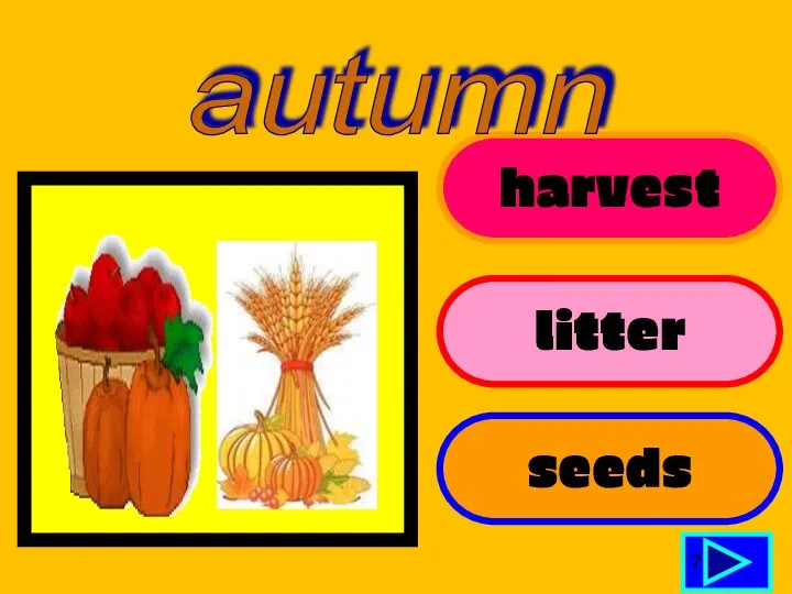 harvest litter seeds 7 autumn