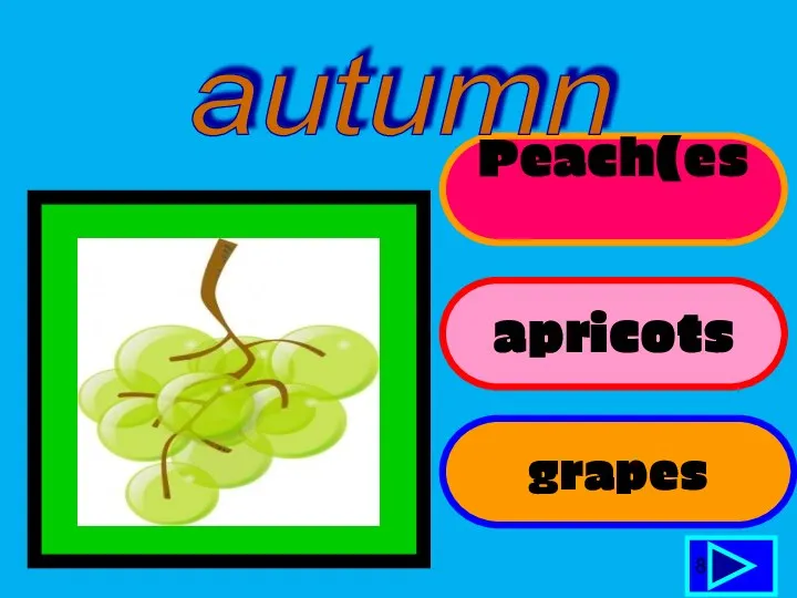 Peach(es) apricots grapes 8 autumn