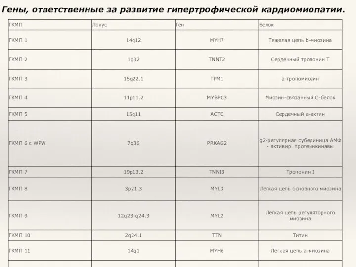 Гены, ответственные за развитие гипертрофической кардиомиопатии.