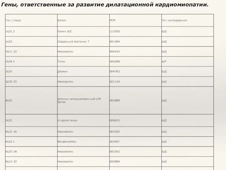 Гены, ответственные за развитие дилатационной кардиомиопатии.