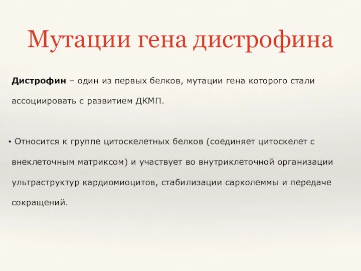 Дистрофин – один из первых белков, мутации гена которого стали ассоциировать с