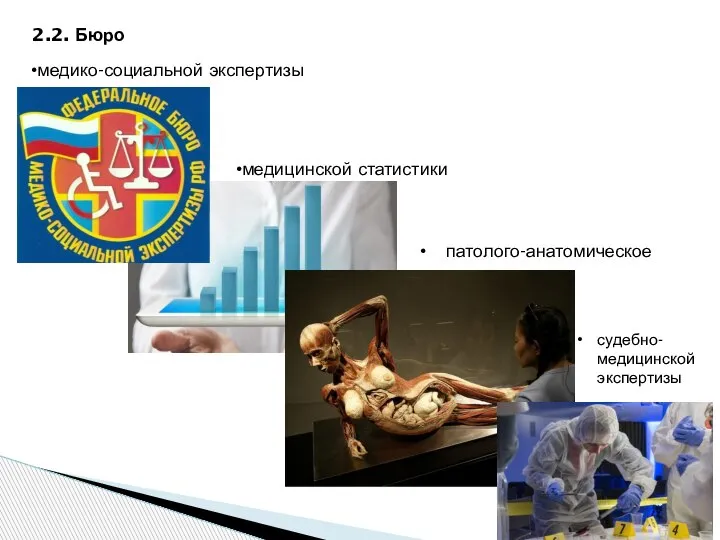 2.2. Бюро медико-социальной экспертизы медицинской статистики патолого-анатомическое судебно-медицинской экспертизы