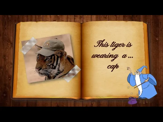 This tiger is wearing a … cap