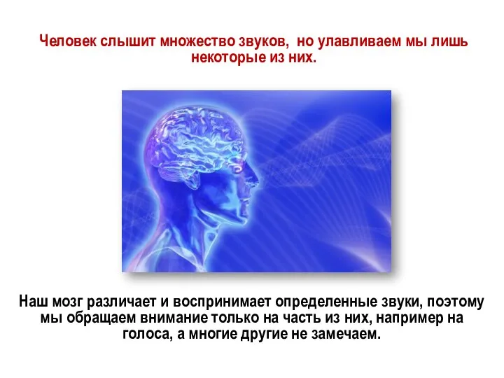 Человек слышит множество звуков, но улавливаем мы лишь некоторые из них. Наш