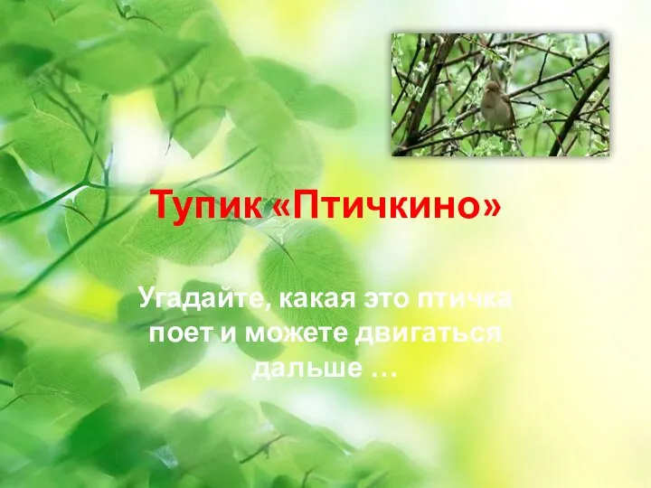 Тупик «Птичкино» Угадайте, какая это птичка поет и можете двигаться дальше …