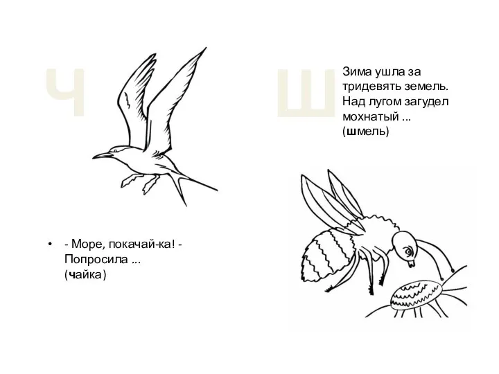 - Море, покачай-ка! - Попросила ... (чайка) Ч Ш Зима ушла за