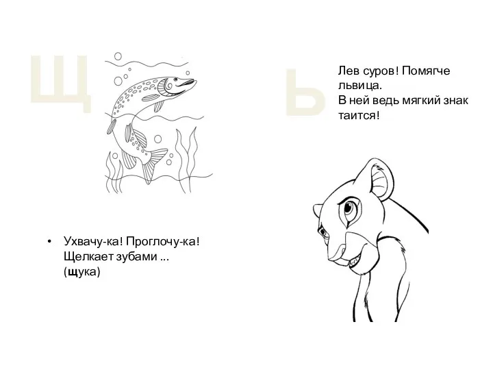 Ухвачу-ка! Проглочу-ка! Щелкает зубами ... (щука) Щ Ь Лев суров! Помягче львица.