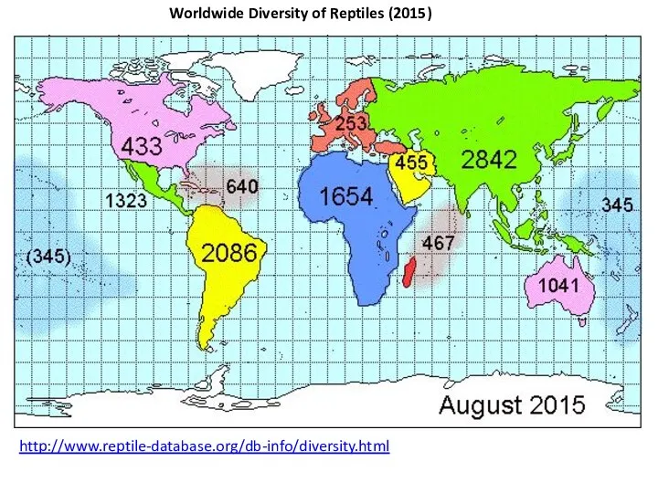 Worldwide Diversity of Reptiles (2015) http://www.reptile-database.org/db-info/diversity.html