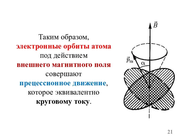 Таким образом, электронные орбиты атома под действием внешнего магнитного поля совершают прецессионное