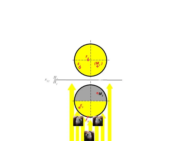 x12 П1 П2 E1 F2 E2 F1 М2 М1 М1 ( )