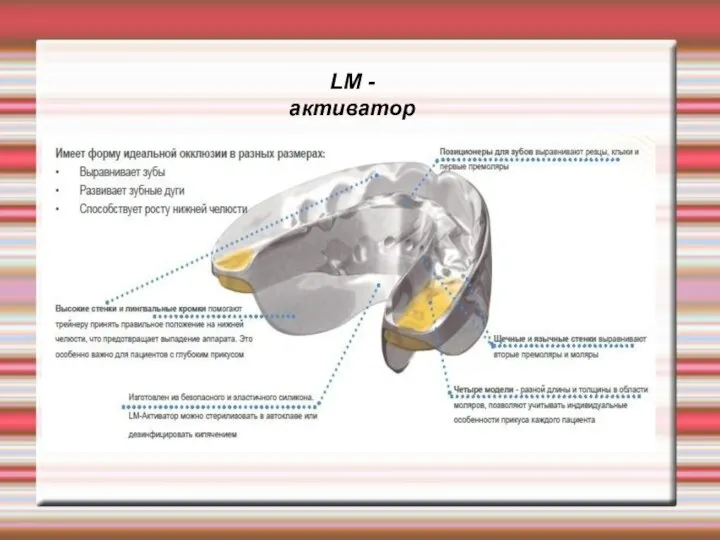 LM - активатор .