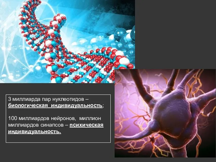 3 миллиарда пар нуклеотидов – биологическая индивидуальность; 100 миллиардов нейронов, миллион миллиардов синапсов – психическая индивидуальность.