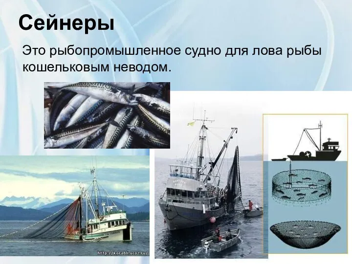 Сейнеры Это рыбопромышленное судно для лова рыбы кошельковым неводом.