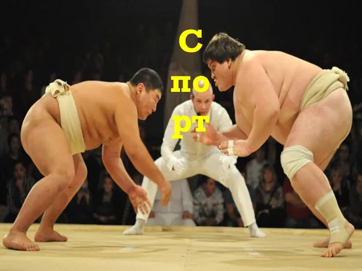 Спорт