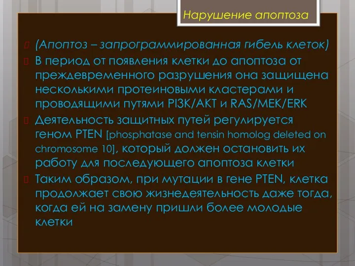 Нарушение апоптоза (Апоптоз – запрограммированная гибель клеток) В период от появления клетки