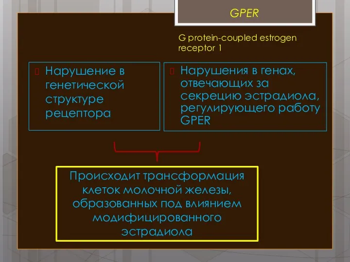 GPER Нарушение в генетической структуре рецептора Нарушения в генах, отвечающих за секрецию