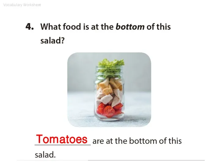 Vocabulary Worksheet Tomatoes