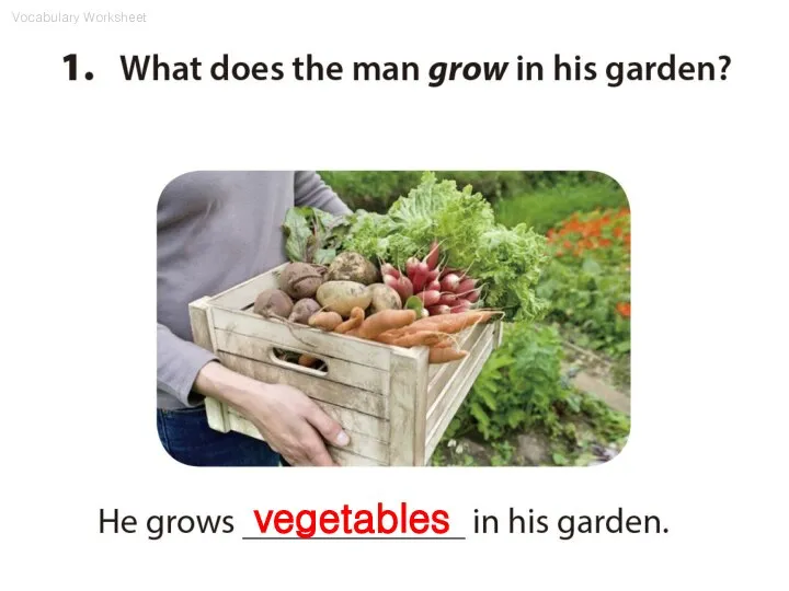 Vocabulary Worksheet vegetables