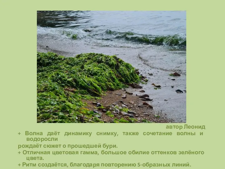 автор Леонид + Волна даёт динамику снимку, также сочетание волны и водоросли