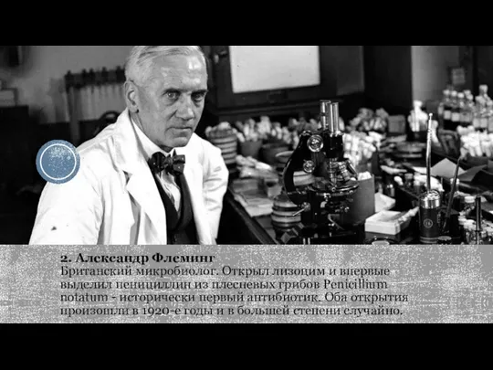 2. Александр Флеминг Британский микробиолог. Открыл лизоцим и впервые выделил пенициллин из