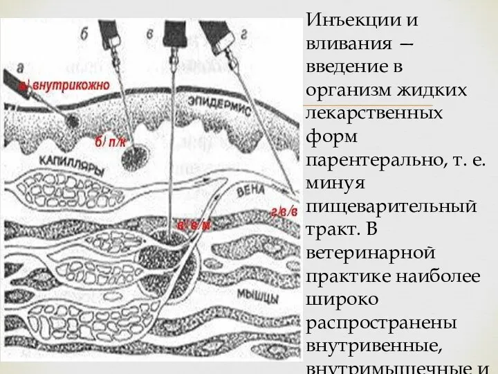 Инъекции и вливания — введение в организм жидких лекарственных форм парентерально, т.