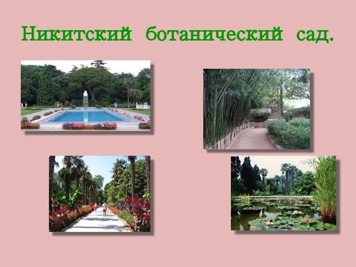 Никитский ботанический сад.