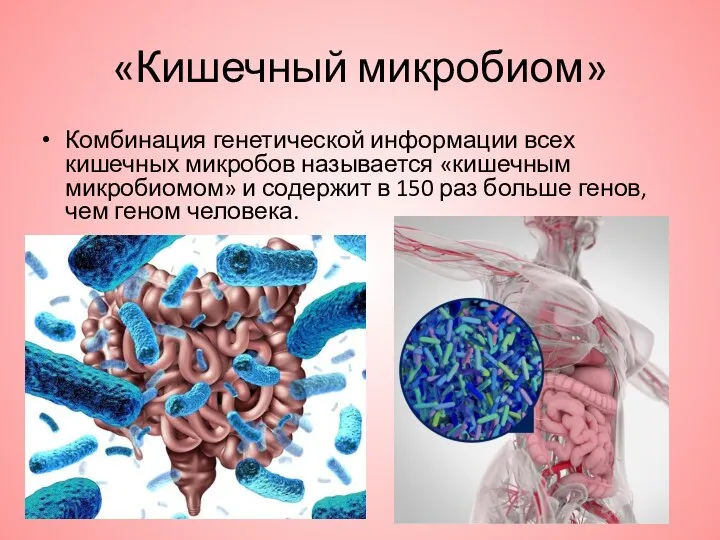 «Кишечный микробиом» Комбинация генетической информации всех кишечных микробов называется «кишечным микробиомом» и