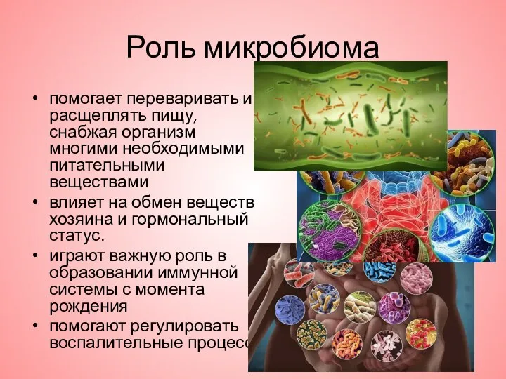 Роль микробиома помогает переваривать и расщеплять пищу, снабжая организм многими необходимыми питательными