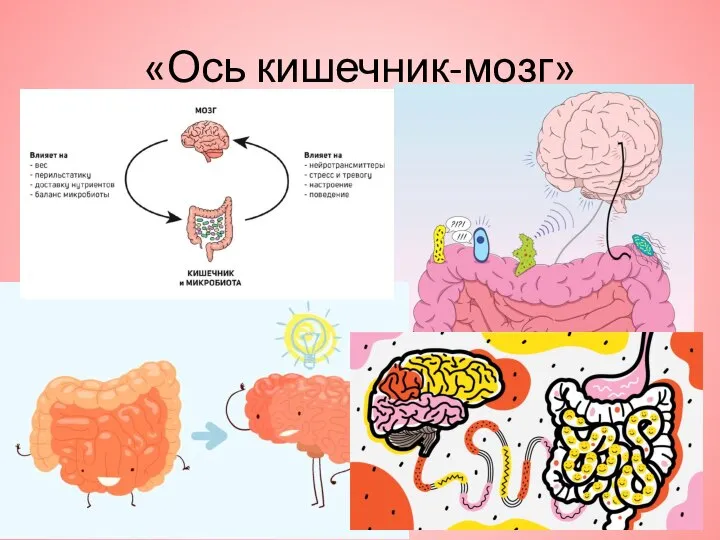 «Ось кишечник-мозг»