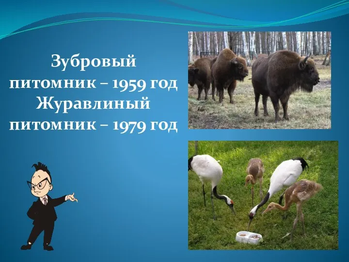 Зубровый питомник – 1959 год Журавлиный питомник – 1979 год