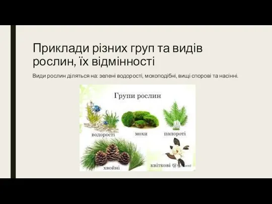 Приклади різних груп та видів рослин, їх відмінності Види рослин діляться на: