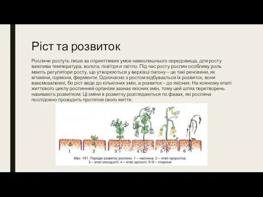 Ріст та розвиток Рослини ростуть лише за сприятливих умов навколишнього середовища, для