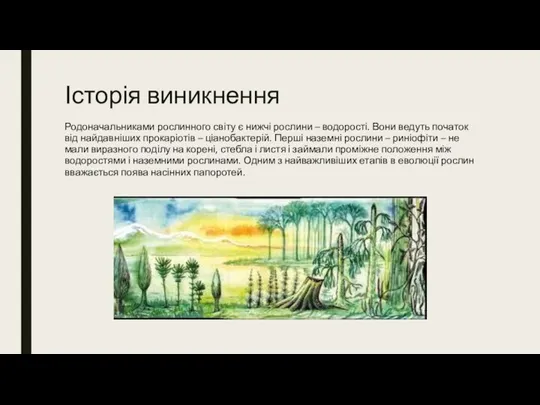 Історія виникнення Родоначальниками рослинного світу є нижчі рослини – водорості. Вони ведуть