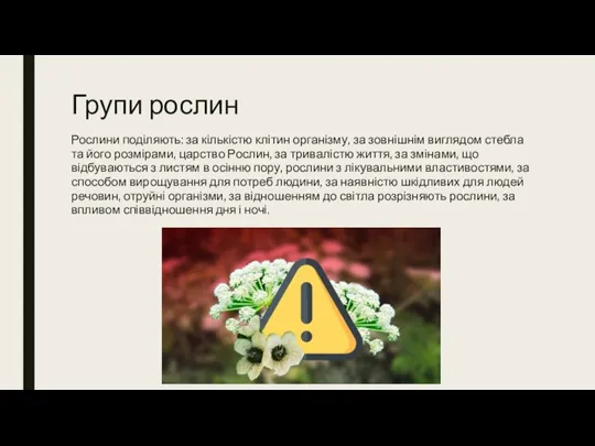 Групи рослин Рослини поділяють: за кількістю клітин організму, за зовнішнім виглядом стебла