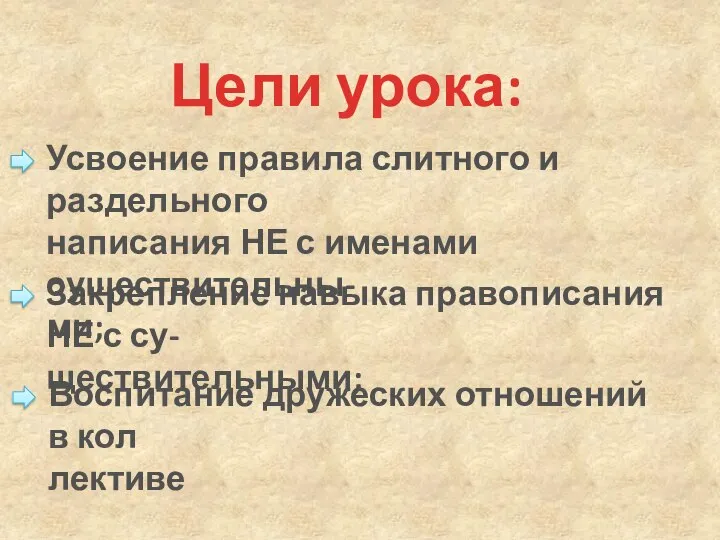 Усвоение правила слитного и раздельного написания НЕ с именами существительны- ми; Цели