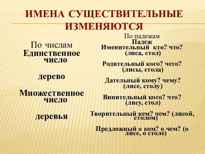 ИМЕНА СУЩЕСТВИТЕЛЬНЫЕ ИЗМЕНЯЮТСЯ По числам Единственное число дерево Множественное число деревья По