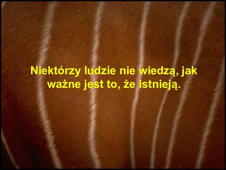 Niektórzy ludzie nie wiedzą, jak ważne jest to, że istnieją.