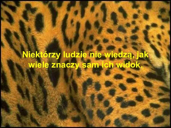 Niektórzy ludzie nie wiedzą, jak wiele znaczy sam ich widok.