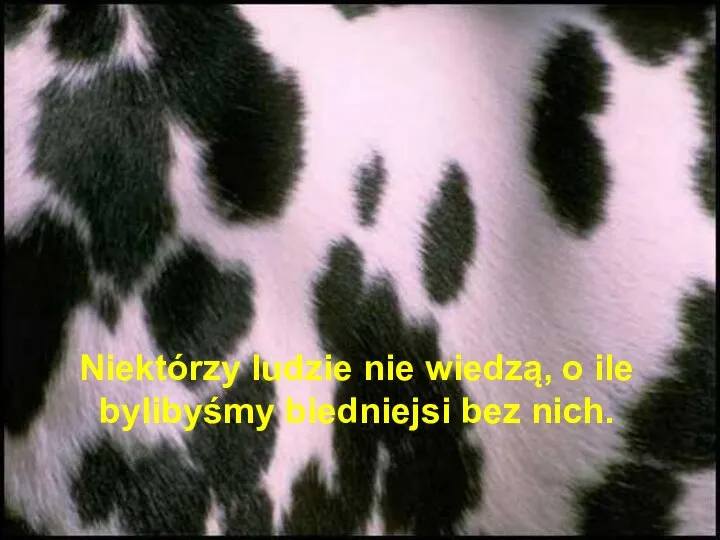 Niektórzy ludzie nie wiedzą, o ile bylibyśmy biedniejsi bez nich.